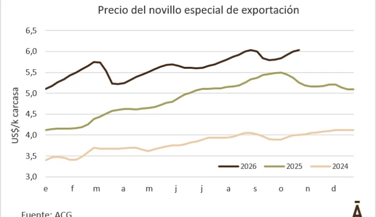 El novillo de exportación volvió al récord de fines de agosto El novillo de exportación volvió al récord de fines de agosto